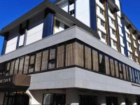 Tokyo Business Hotel 2*