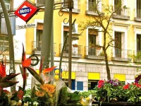 Hostal Tirso Plaza 2*