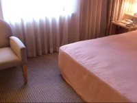 Sapporo Tobu Hotel 3*