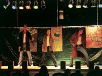 Valamar Club Dubrovnik (ex.Minceta) 3*