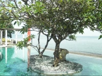 Villa Simha Bali 3*