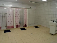 РњР°РіРЅРѕР»РёСЏ