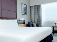 Hyatt Regency Mexico City 5*