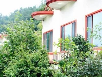 Dreaming Forest Hotel 1*