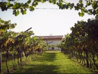 B&B Relais Mozart 2*