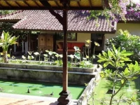 Villa Kebun Impian 2*
