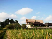 Villas Kubu Kedungu 3*