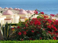 Red Sea Taj Mahal 5*