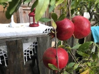 Hane-i Keyif Pension 2*