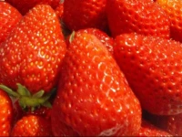 Petit Resort Hotel Alcyon 2*