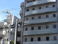 Hotel Livemax Tokyo Kiba 2*