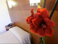 Hotel Via Augusta 2*