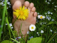 Ferienappartment Zurker 2*