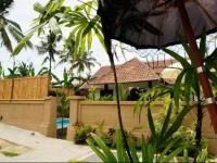 Villa Deta Junjungan Rice Field 3*
