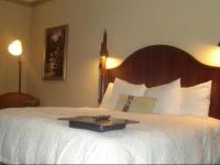 Hampton Inn & Suites Houston-Westchase 3*