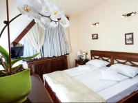 Pension Brasovu Vechi 4*