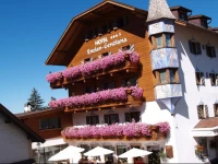Hotel Enzian Genziana 3*
