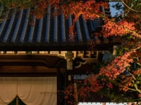 Kyoto Kokusai Hotel 4*