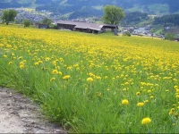 Moida-Ferienwohnung 2*