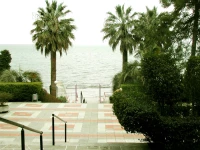 Sanatorium imeni M.V. Frunze