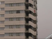 Kumamoto Station Hotel 3*