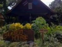 Bamboo House Pattaya 2*
