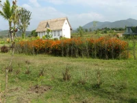 Baan Mai - Pla Man Guest House 1*