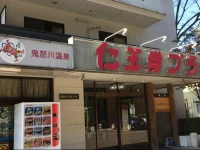 Kinugawa Niouson Plaza Hotel 3*