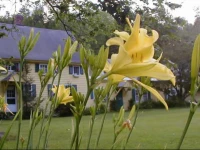 Fiddlers Green Inn 3*