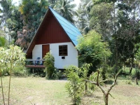 Jungle Bar & Bungalow 1*