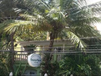 Hotel Pousada Papaya Verde 2*