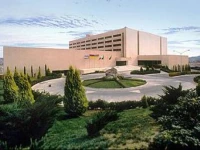 Soberano Chihuahua 5*