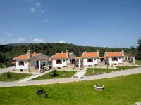 Apolithomeno Dasos 2*