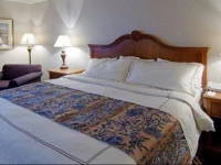 Best Western Mount Vernon 2*