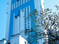 Banyan Tree Bangkok 5*