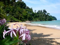 Khao Lak Palm Beach Resort 4*