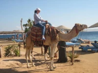 Zahabia Village & Beach Resorts 3*