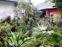 Biangs Cafe & Homestay 1*