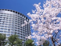 Hotel Grand Arc Hanzomon 3*