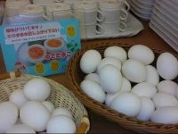 R&B Hotel Hakata Ekimae