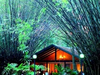 Kewarra Beach Resort 4*