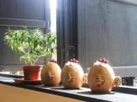 Akinabalu Youth Hostel