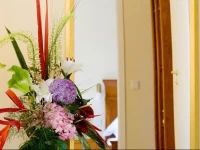 XII Apostel Albergo 3*