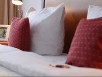 Cityhotel Amadeus 3*