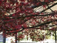 Parkhotel Gutersloh 4*