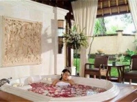 Puri Bagus Lovina 4*