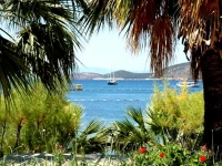 Sami Beach 3*