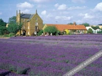 The Bays Guest House 5*