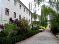 Aviator holiday house  Golovinka