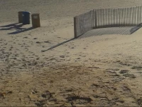 Ocean City Mansion 3*